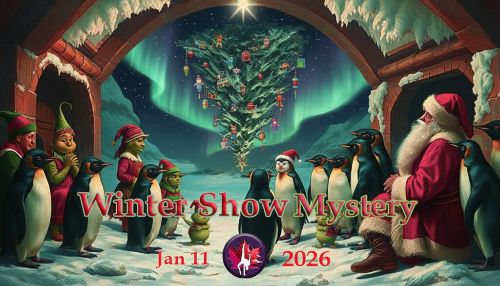 circus winter holiday new year live acrobatics show